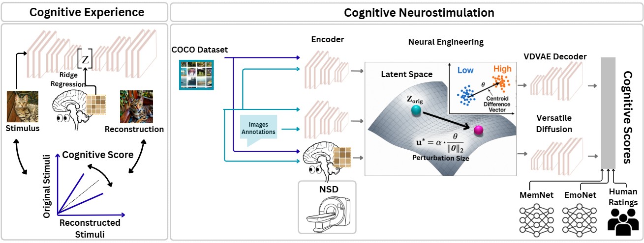 Study overview figure showing cognitive experience, cognitive neurostimulation, latent-space neural engineering, decoders, model assessors, human ratings, and cognitive scores.